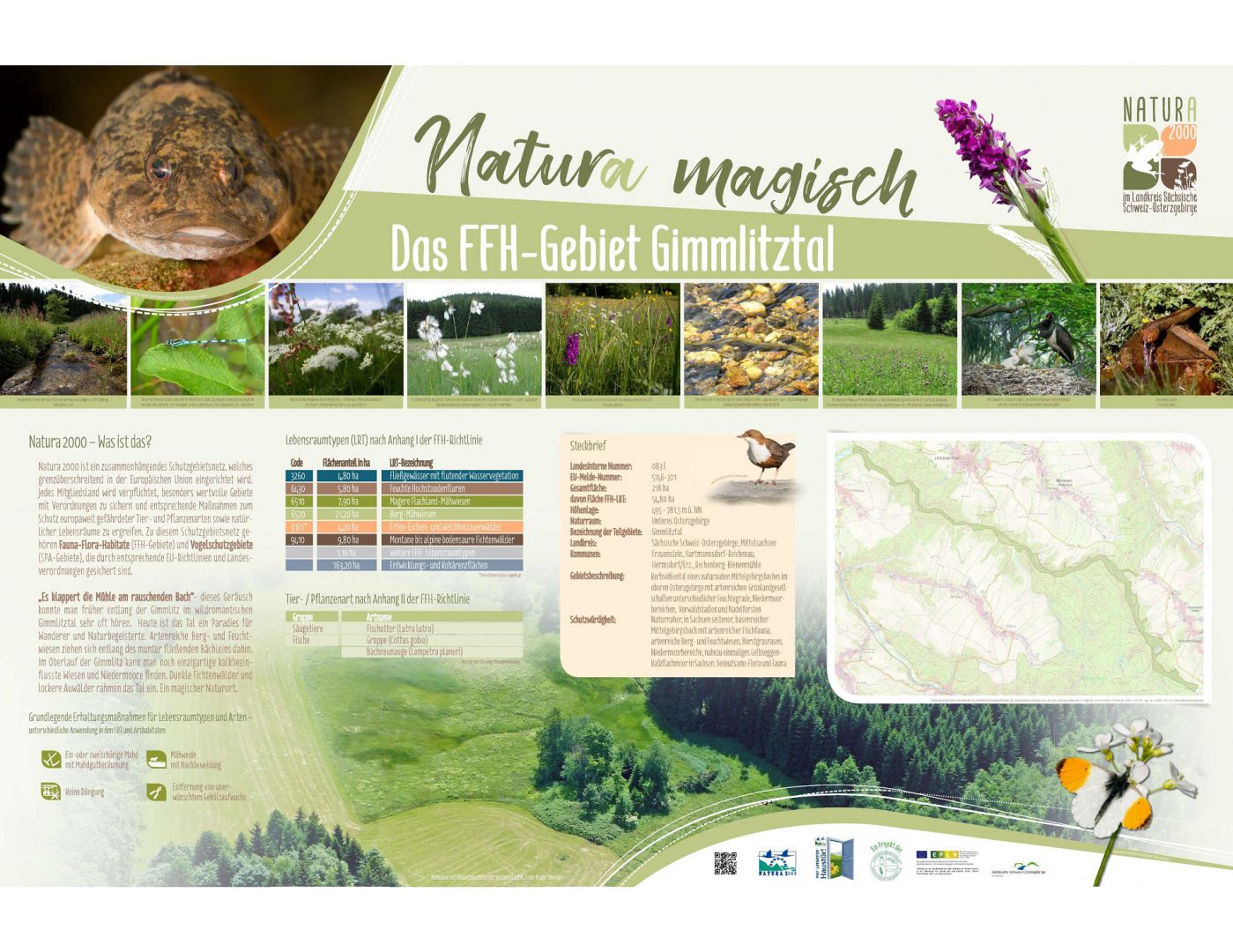 tl_files/downloads/Bilder Projekte/Projektstellen/Natura 2000 1.0/Tafeln/Tafel_Gimmlitztal.jpg
